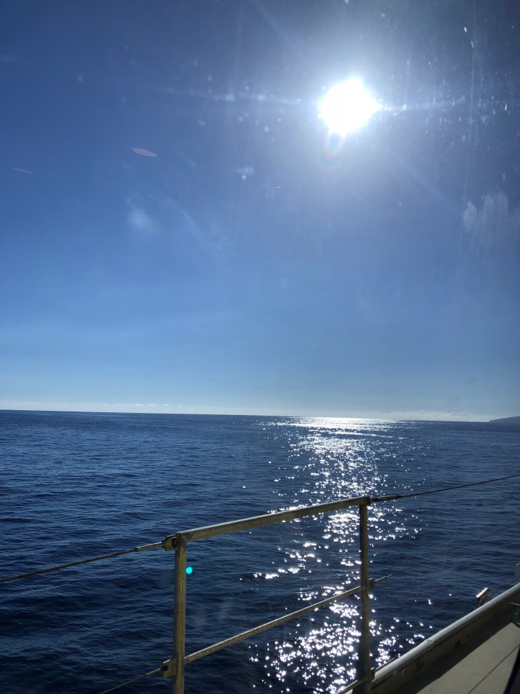 La naturaleza nos da Vida.